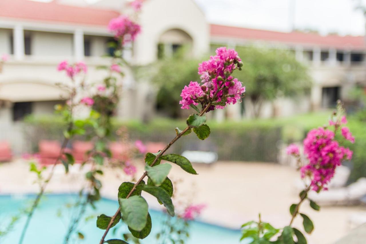 Vineyard Court Designer Suites Hotel College Station Bagian luar foto